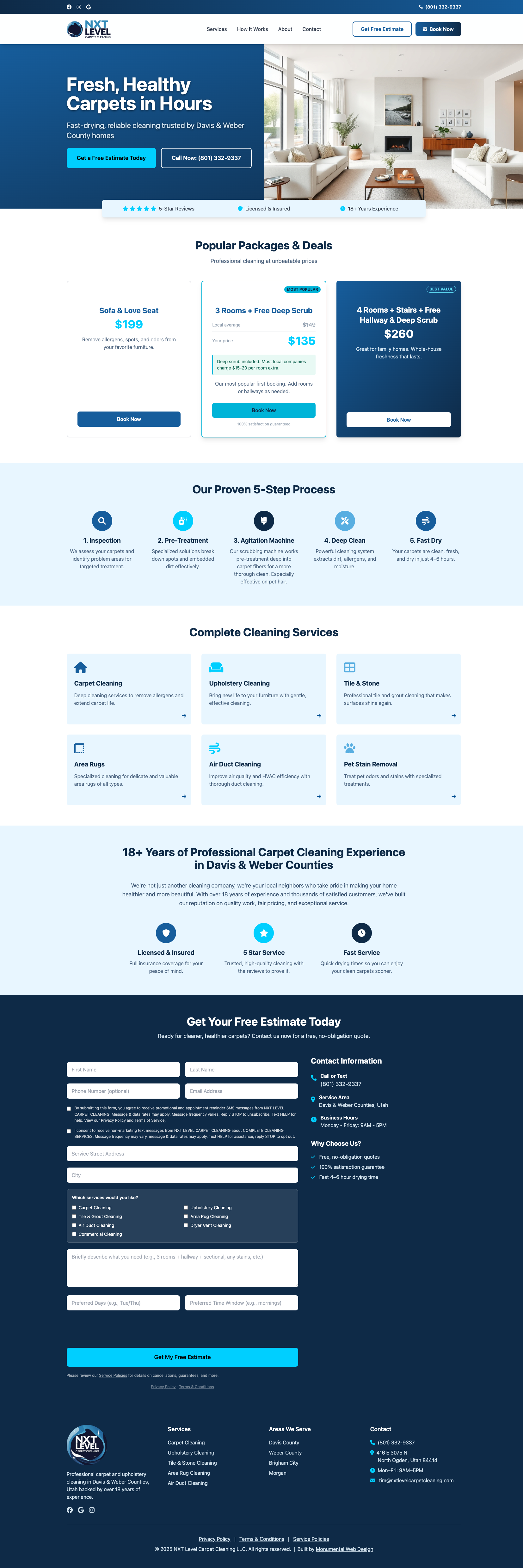 Carpet Cleaning design preview